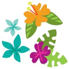 Tropical Flowers