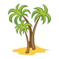 Palm Trees