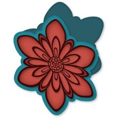 plump 6 petal flower card