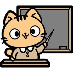 cute teacher cat