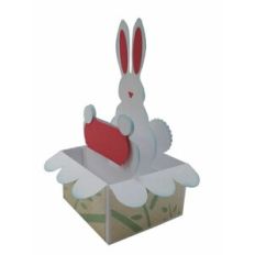 Easter Bunny Pop Up Card