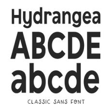 BFC Hydrangea Bold Simple Classic Sans Display Font