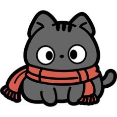 cute chubby cat with a scarf