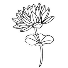 Water lily Outline Flower