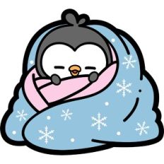 cozy penguin in a blanket