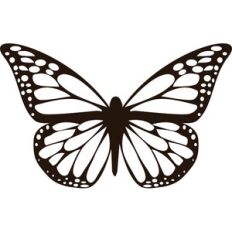 Butterfly Silhouette