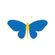 Butterfly Decoration