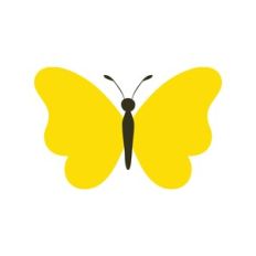 Butterfly Decoration