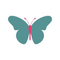 Butterfly Decoration