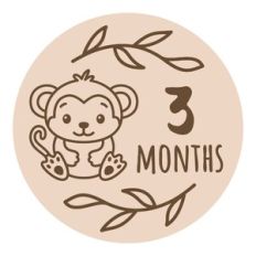 Baby Milestone - 3 months