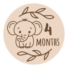 Baby Milestone - 4 months