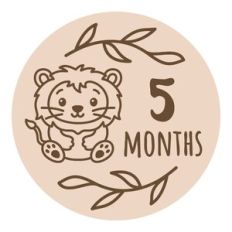 Baby Milestone - 5 months