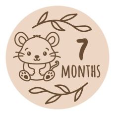 Baby Milestone - 7 months