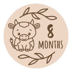 Baby Milestone - 8 months