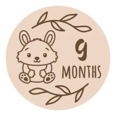 Baby Milestone - 9 months