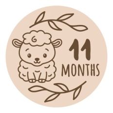 Baby Milestone - 11 months