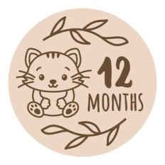 Baby Milestone - 12 months