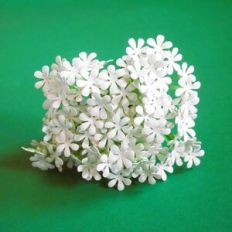 Filler Flower