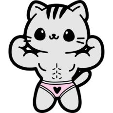 cute muscle cat