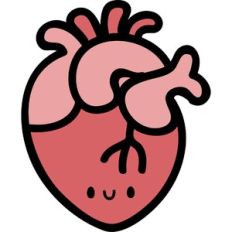 cute simple anatomical heart