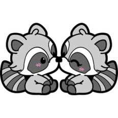 cute raccoon couple in love