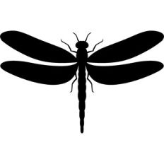 dragonfly silhouette