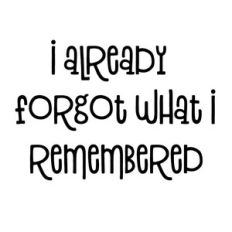 I Already Forgot What I Remembered