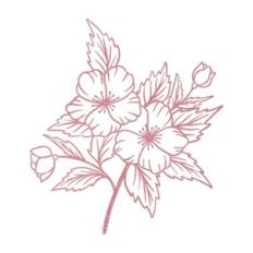 Branch with flowers