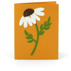 A2 Daisy Card