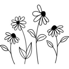 Daisies