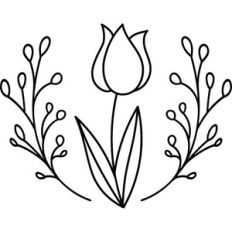 Tulip
