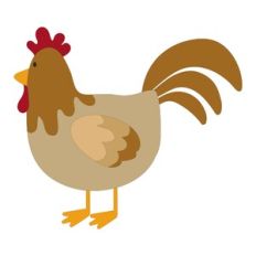 Rooster