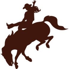 Cowgirl Rodeo