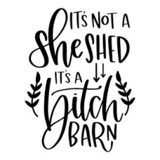 It's Not a She Shed It's a Bitch Barn