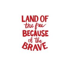 Because Of The Brave
