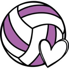 volleyball ball