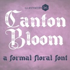 PN Canton Bloom