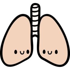 cute lungs