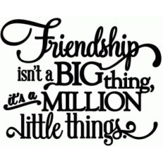 friendship is a million little things - vinyl phrase