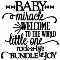 baby, miracle, little one, rock-a-bye, bundle of joy - vinyl phrase