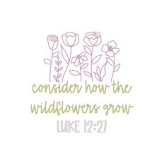 Consider How The Wildflowers Grow Luke 12:27