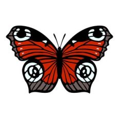 Peacock Eye Butterfly