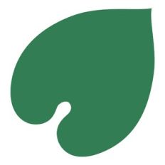 Tropical leaf