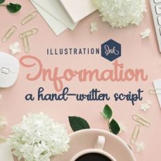 ZP Information Bold