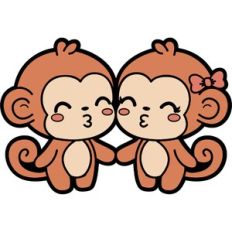 cute monkeys couple