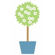 floral topiary