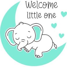 Baby Elephant Sketch