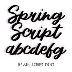 BFC Spring Script Brush Script Italic Cursive Font