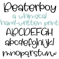 ZP Beaterboy