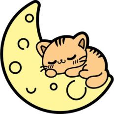 kitten sleeping on the moon